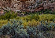 Lower Calf Creek Tr 17-2063